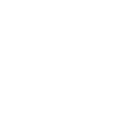 Globe Icon